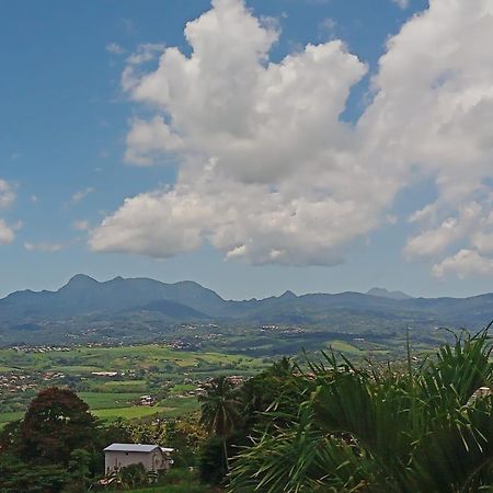 Martinique Vue D'Exception Et Piscine Villa Le Lamentin Esterno foto